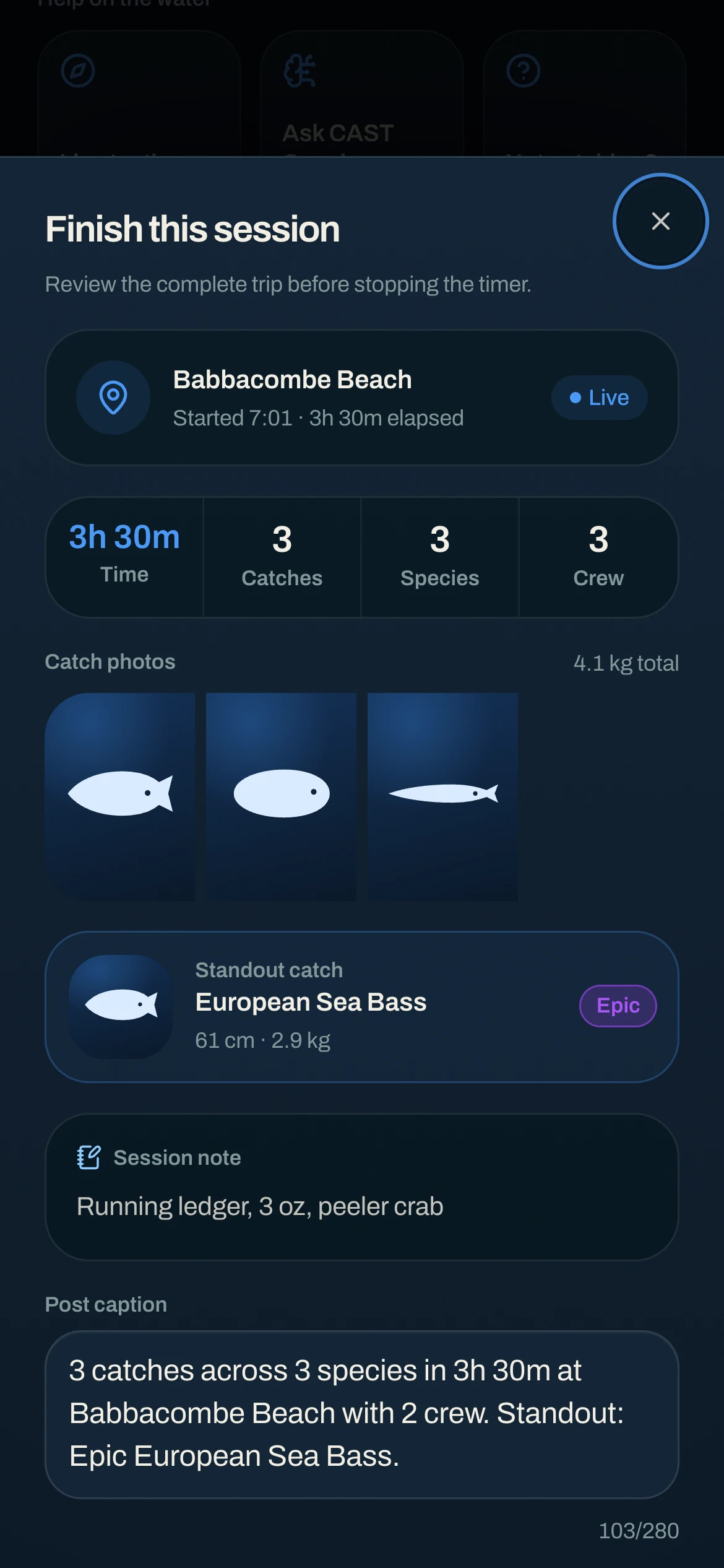 CAST session finish review with catches and posting controls