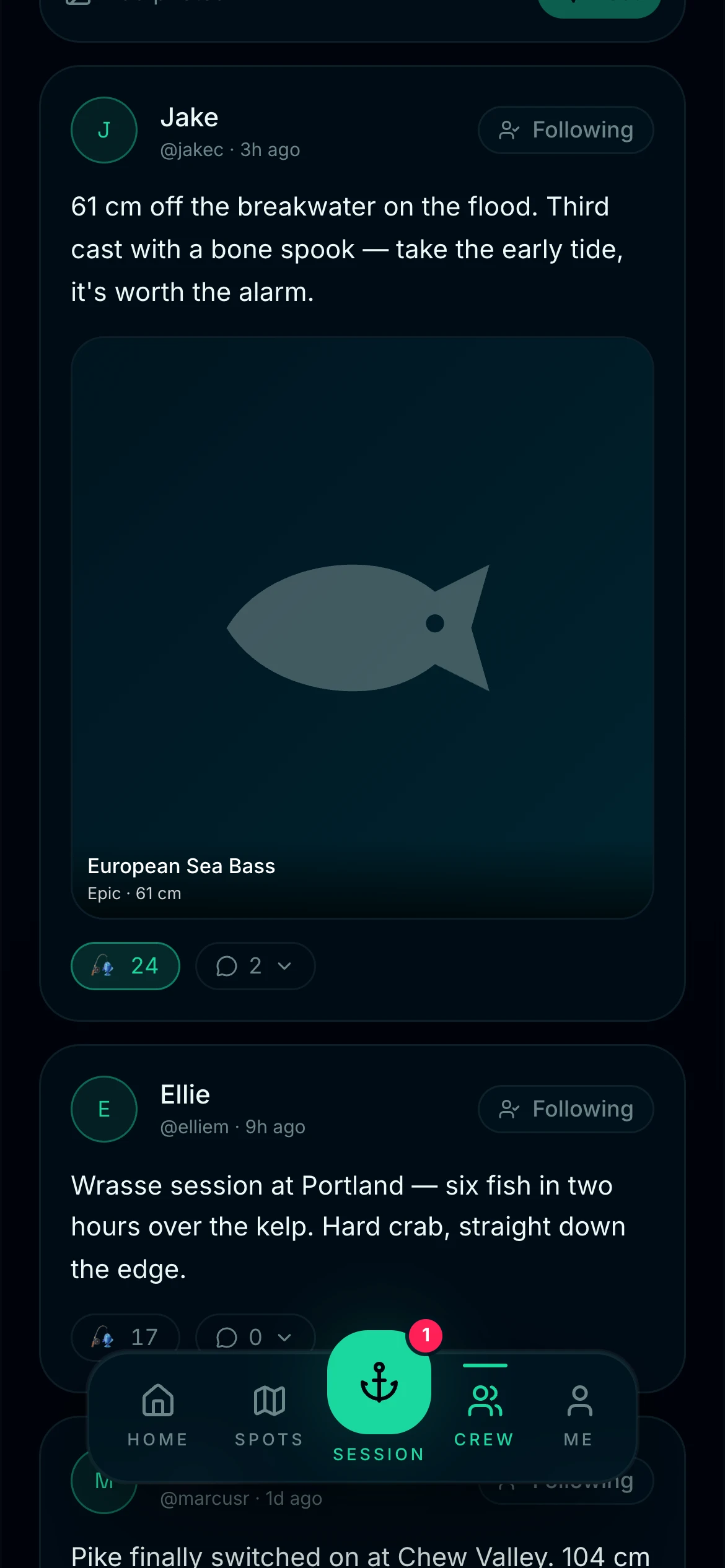 CAST community feed — catches shared by the anglers you follow